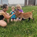 Wypoczynek Nad Bugiem * Klepaczew