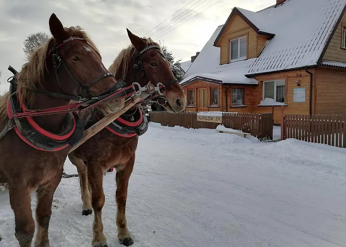 Wypoczynek Nad Bugiem *